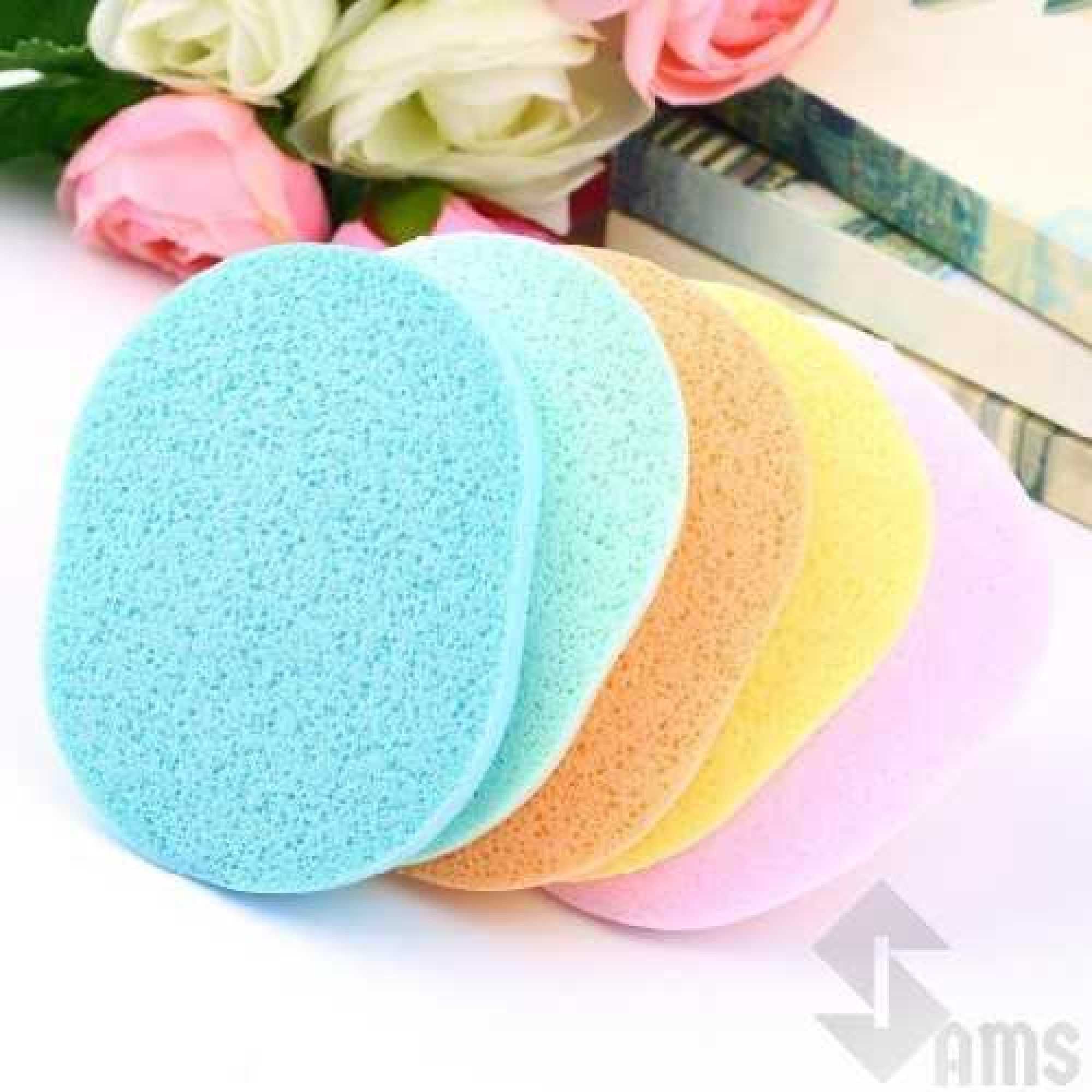 Scrubber sponge resized2.jpg